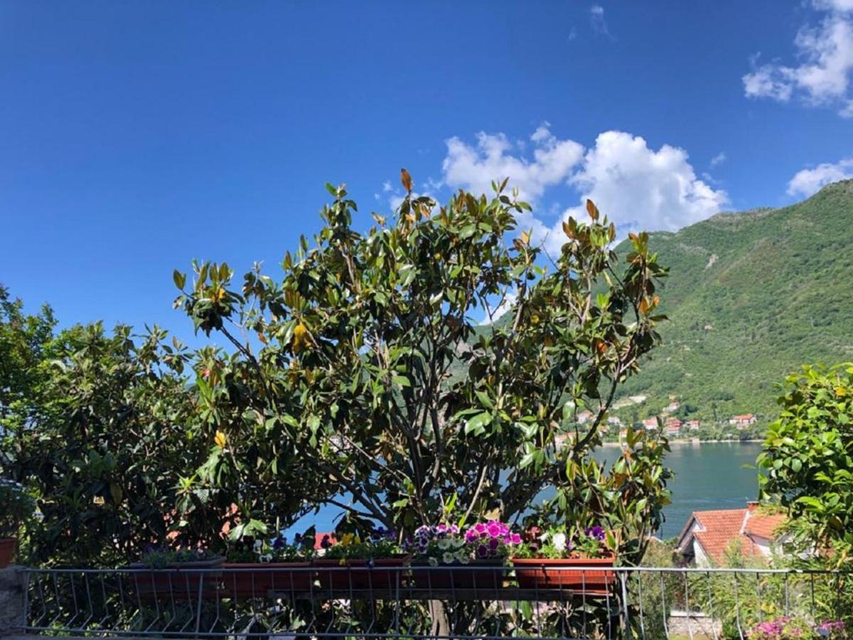 Apartments Todorovic Tivat Luaran gambar