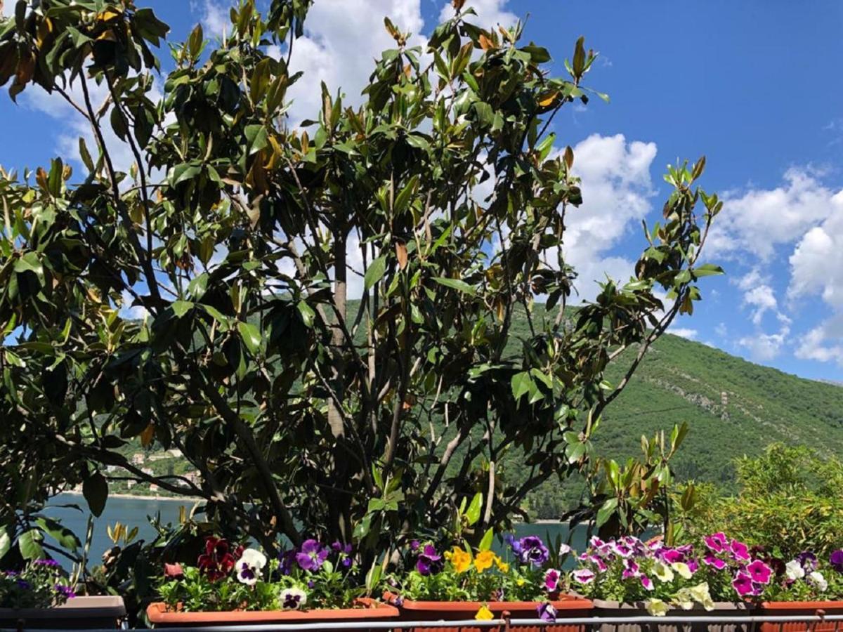 Apartments Todorovic Tivat Luaran gambar