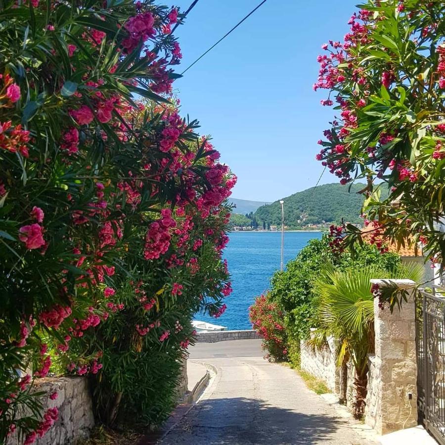 Apartments Todorovic Tivat Luaran gambar